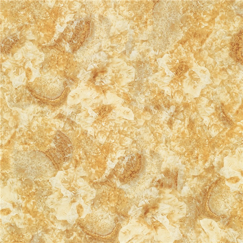 S-HC8801凯撒大帝