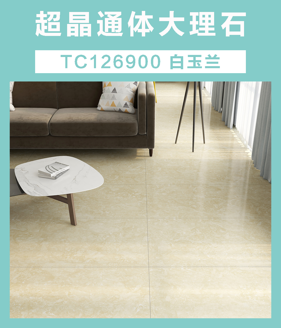 封面TC126900白玉兰.jpg